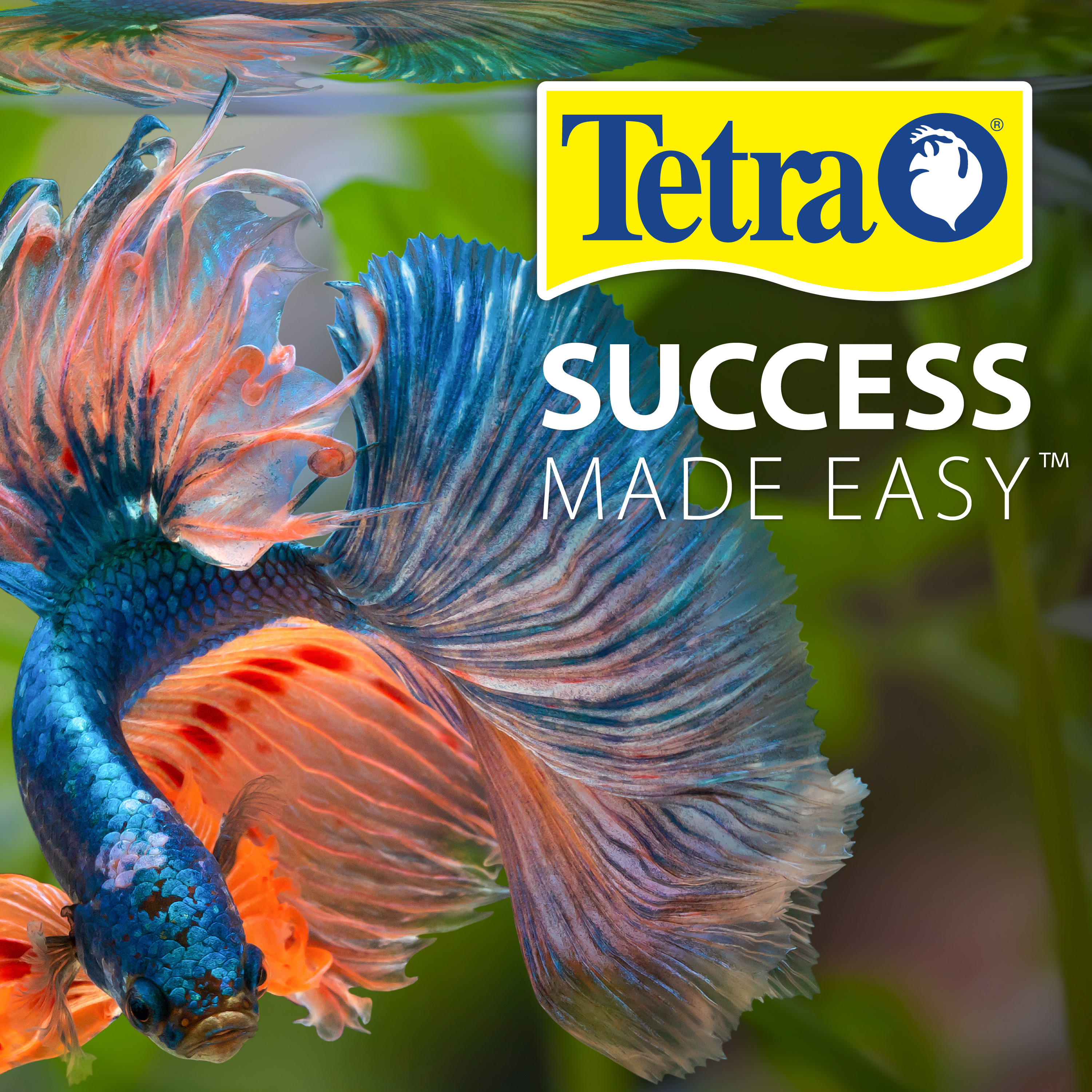 Tetra safestart plus clearance